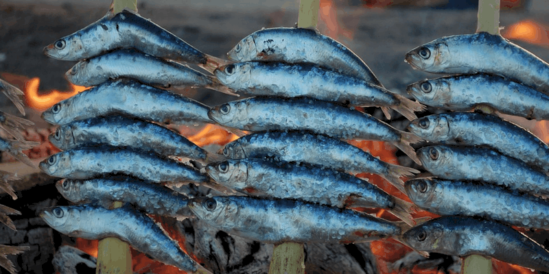 Sardines-on-the-beach-malaga