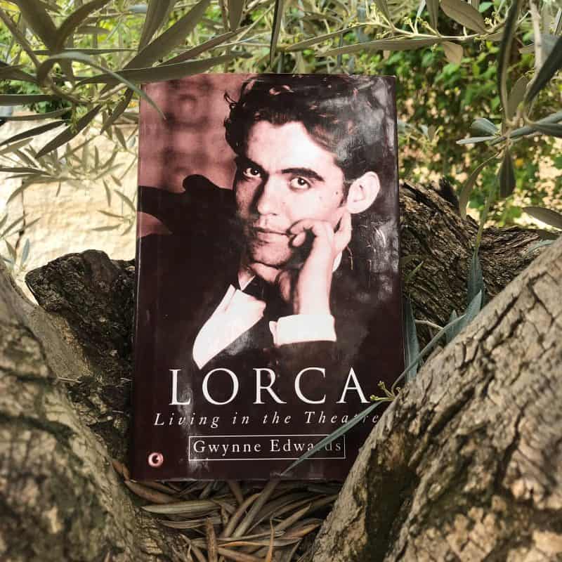 Book about Lorca in olive tree