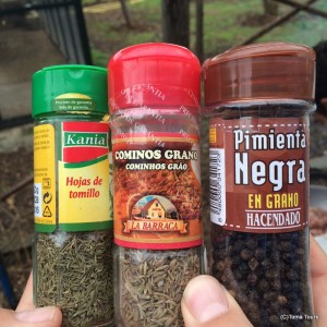 Ingredients for country food in Andalucia